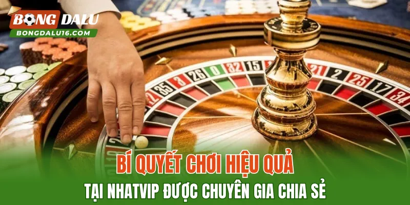 Bí quyết chơi hiệu quả tại NHATVIP được chuyên gia chia sẻ