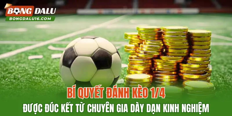 Bí quyết đánh kèo 1/4 được đúc kết từ chuyên gia dày dạn kinh nghiệm