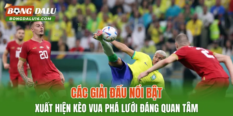 Các giải đấu nổi bật xuất hiện kèo vua phá lưới đáng quan tâm