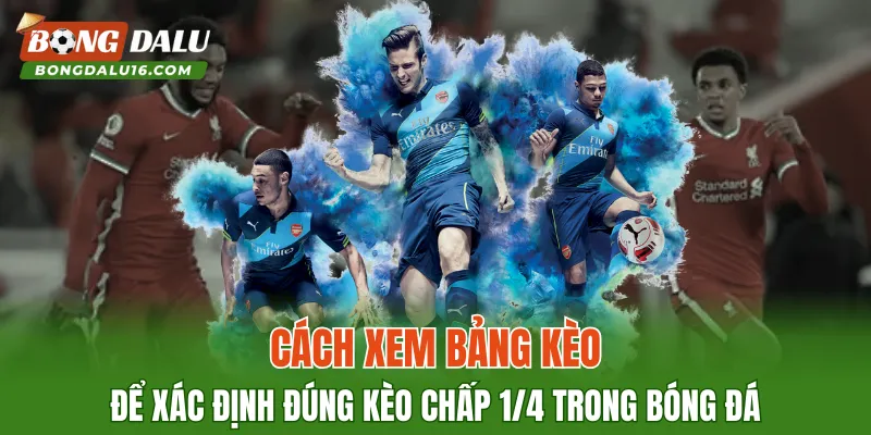 Cách xem bảng kèo để xác định đúng kèo chấp 1/4 trong bóng đá