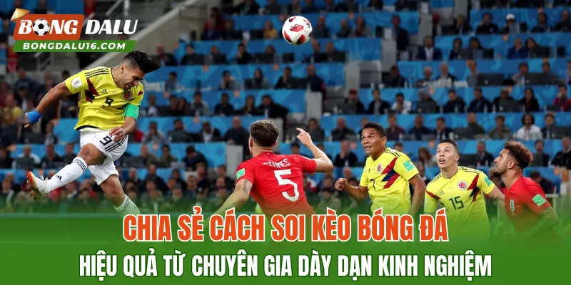 Chia sẻ cách soi kèo bóng đá hiệu quả từ chuyên gia dày dạn kinh nghiệm