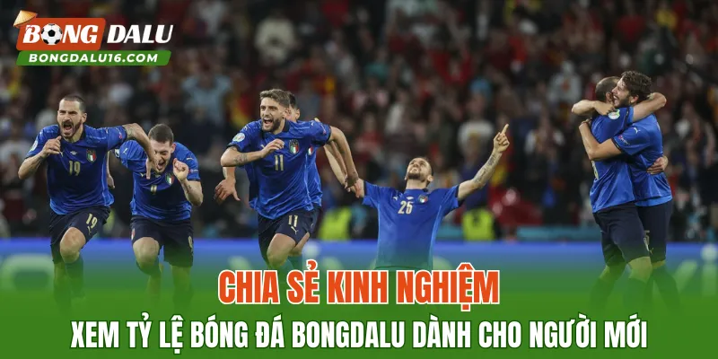 Chia sẻ kinh nghiệm xem tỷ lệ bóng đá BONGDALU dành cho người mới