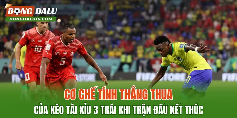 Cơ chế tính thắng thua của kèo tài xỉu 3 trái khi trận đấu kết thúc