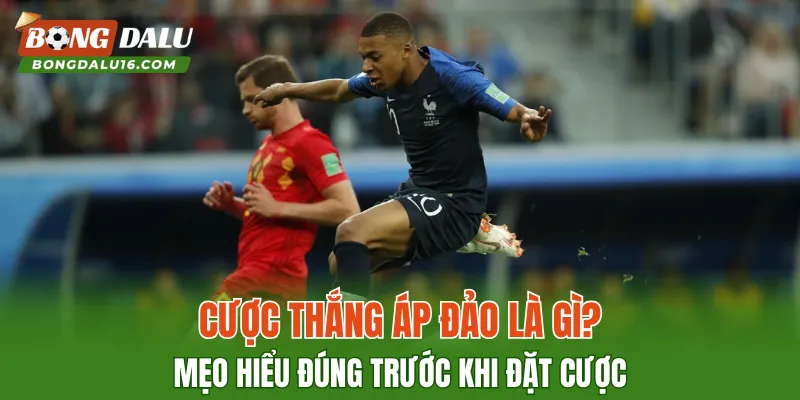 Cược Thắng Áp Đảo Là Gì? Mẹo Hiểu Đúng Trước Khi Đặt Cược