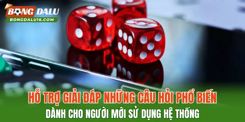 Hỗ trợ giải đáp những câu hỏi phổ biến dành cho người mới sử dụng hệ thống