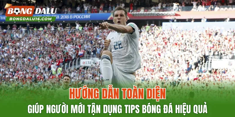 Hướng dẫn toàn diện giúp người mới tận dụng tips bóng đá hiệu quả