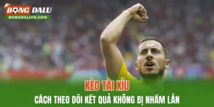 Kèo Tài Xỉu – Cách Theo Dõi Kết Quả Không Bị Nhầm Lẫn