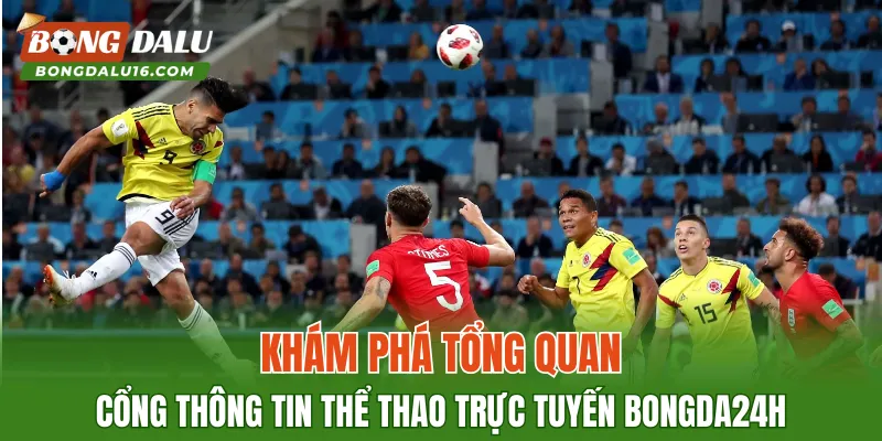Khám phá tổng quan cổng thông tin thể thao trực tuyến Bongda24h