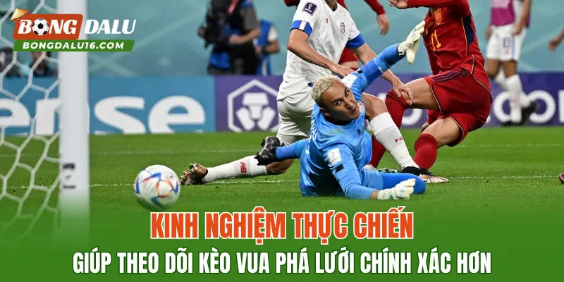Kinh nghiệm thực chiến giúp theo dõi kèo vua phá lưới chính xác hơn