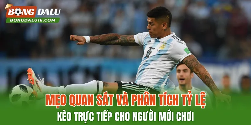 Mẹo quan sát và phân tích tỷ lệ kèo trực tiếp cho người mới chơi