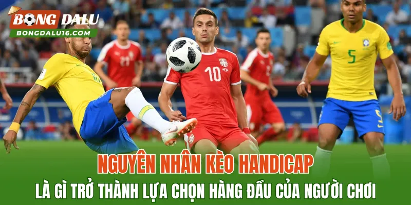 Nguyên nhân kèo handicap là gì trở thành lựa chọn hàng đầu của người chơi