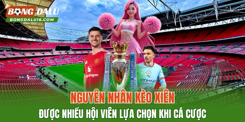 Nguyên nhân kèo xiên được nhiều hội viên lựa chọn khi cá cược