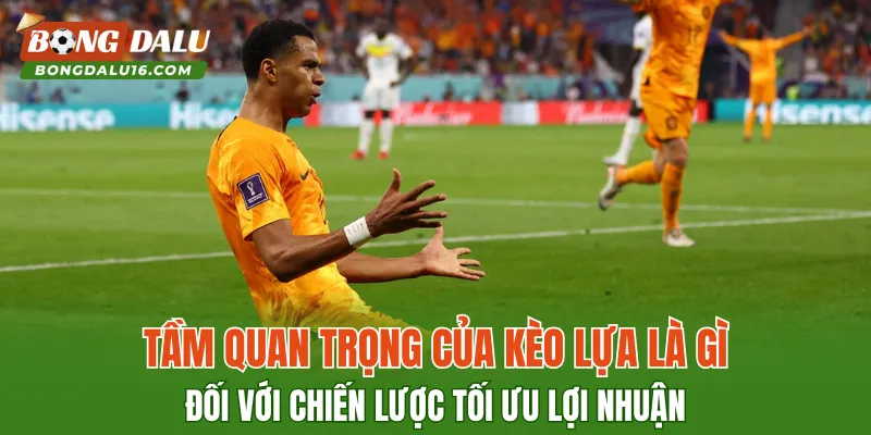 Tầm quan trọng của kèo lựa là gì đối với chiến lược tối ưu lợi nhuận