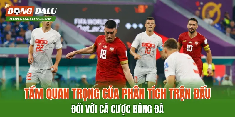 Tầm quan trọng của phân tích trận đấu đối với cá cược bóng đá