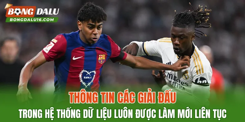 Thông tin các giải đấu trong hệ thống dữ liệu luôn được làm mới liên tục
