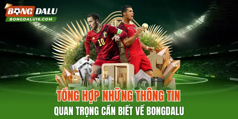 Tổng hợp những thông tin quan trọng cần biết về BONGDALU